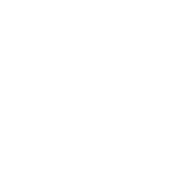 Salient Advisory Services